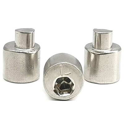 Μη τυποποιημένο Custom Step Rivet Anti Theft Screw Εκκεντρικό Νύχι