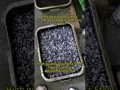 Βίδες έκκεντρου Torx