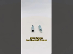 Άνδρας-γυναίκα Hex Standoff βίδες